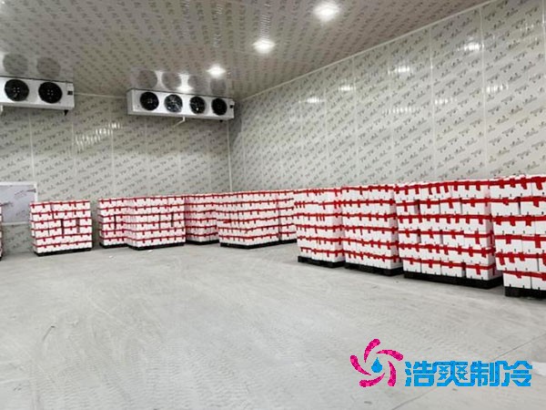芭樂果保鮮冷庫(kù)安裝造價(jià)多少錢？芭樂果在冷庫(kù)能放多久？-浩爽制冷