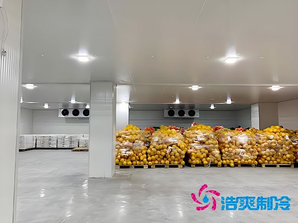 建一個蔬菜冷庫造價需要多少錢？-浩爽制冷