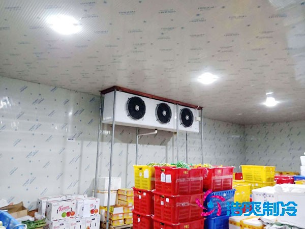 建一個蔬菜冷庫造價需要多少錢？-浩爽制冷